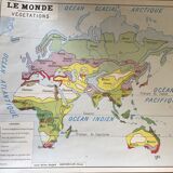 Pedagogical map, the world of vegetation