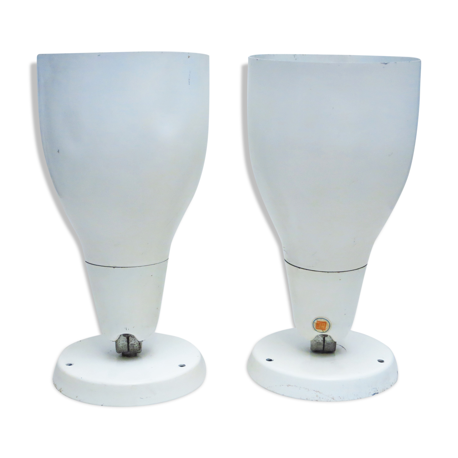 Pair of great white spots Lita