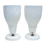 Pair of great white spots Lita