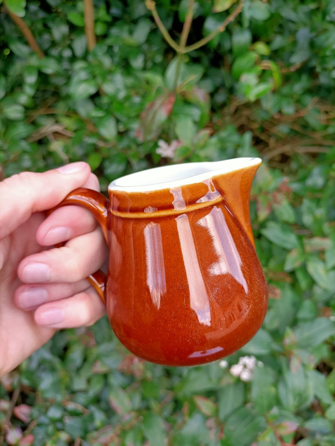 Retro ceramic milk jugs 💐