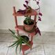 Porte plantes ancien repeint en terracotta