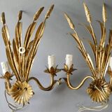 Pair of ear of wheat wall lights in gold metal, 1970s