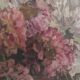 Vintage French oil painting of chrysanthemums