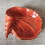 Empty pocket shell coral
