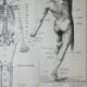 Engraving • Human anatomy, medicine • Original lithograph from 1898