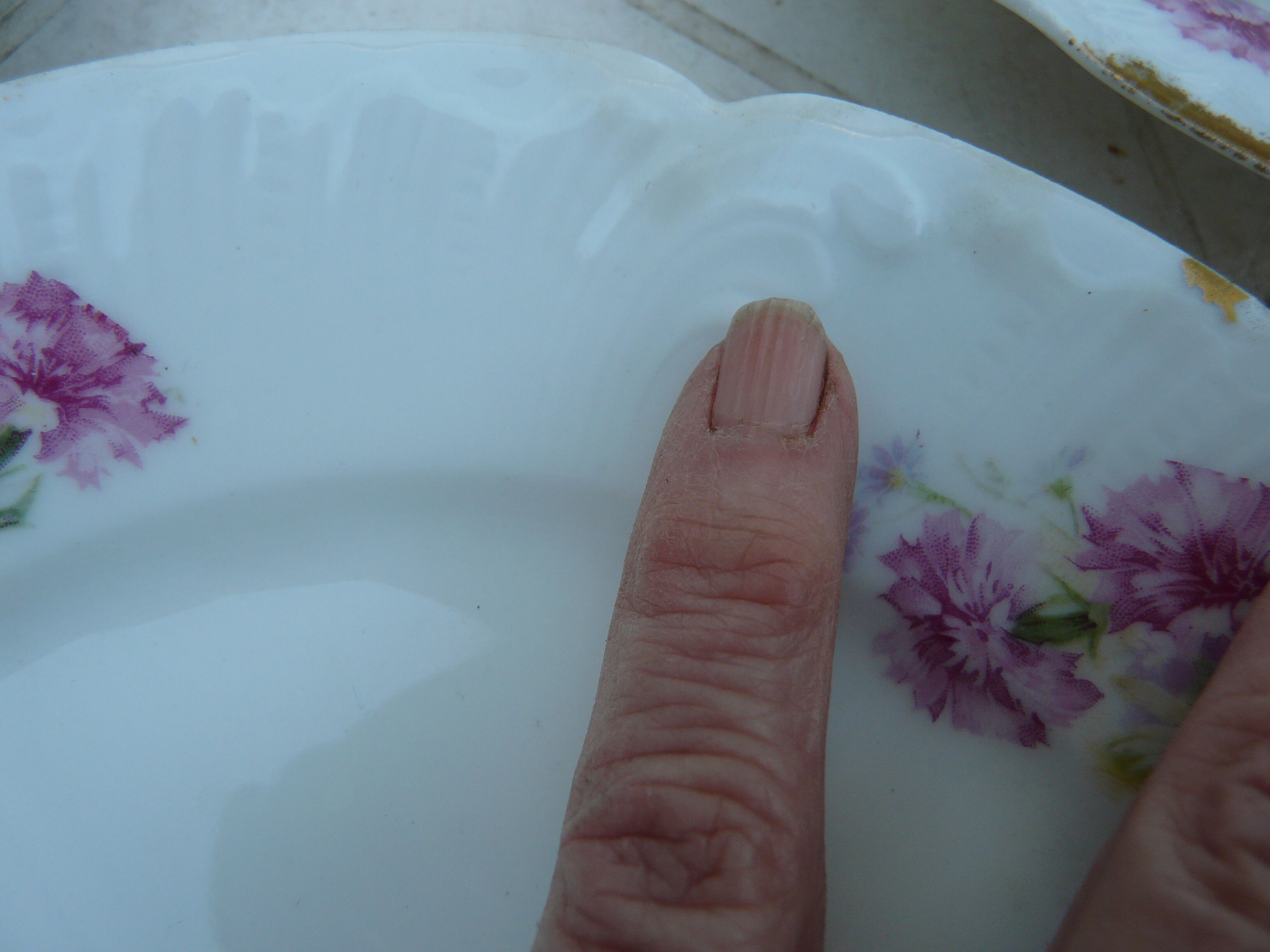 5 assiettes à dessert en porcelaine XIXème