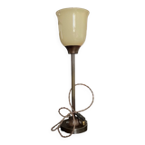 Tulip lamp