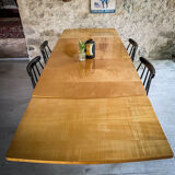 Scandinavian table teak and lemon tree Italian extensions