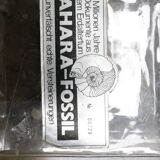 Brutalist salontafl Laauser Fossiel natuursteen