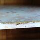 Parisian sideboard two doors, two drawers in natural wood