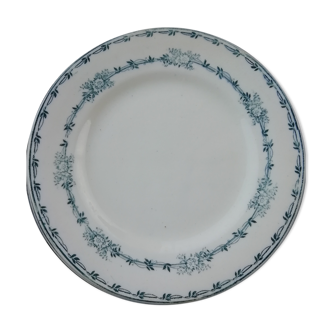 Iron earth saline dessert plates
