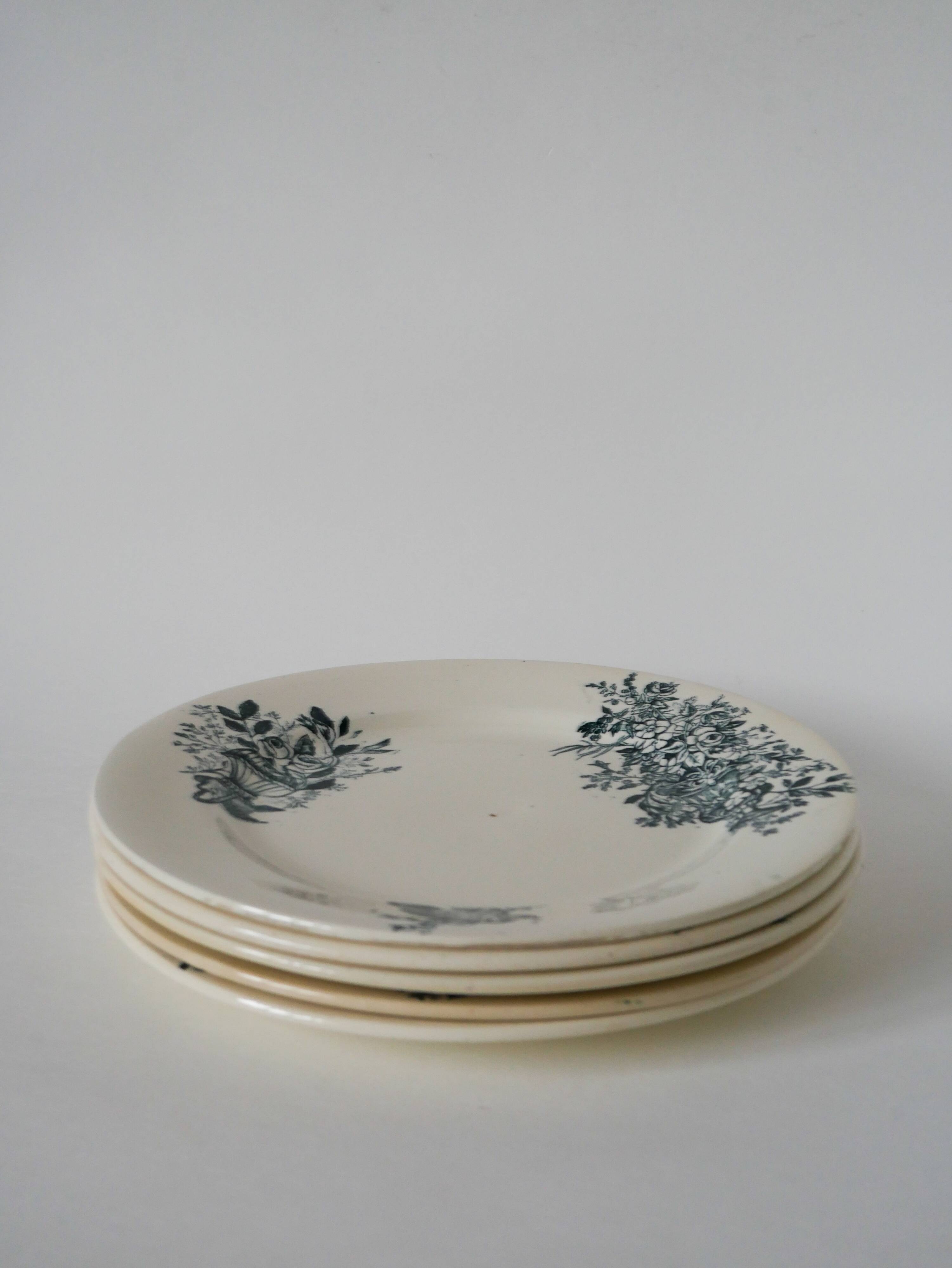 Set of 5 flat plates in terre de fer salins 19th century