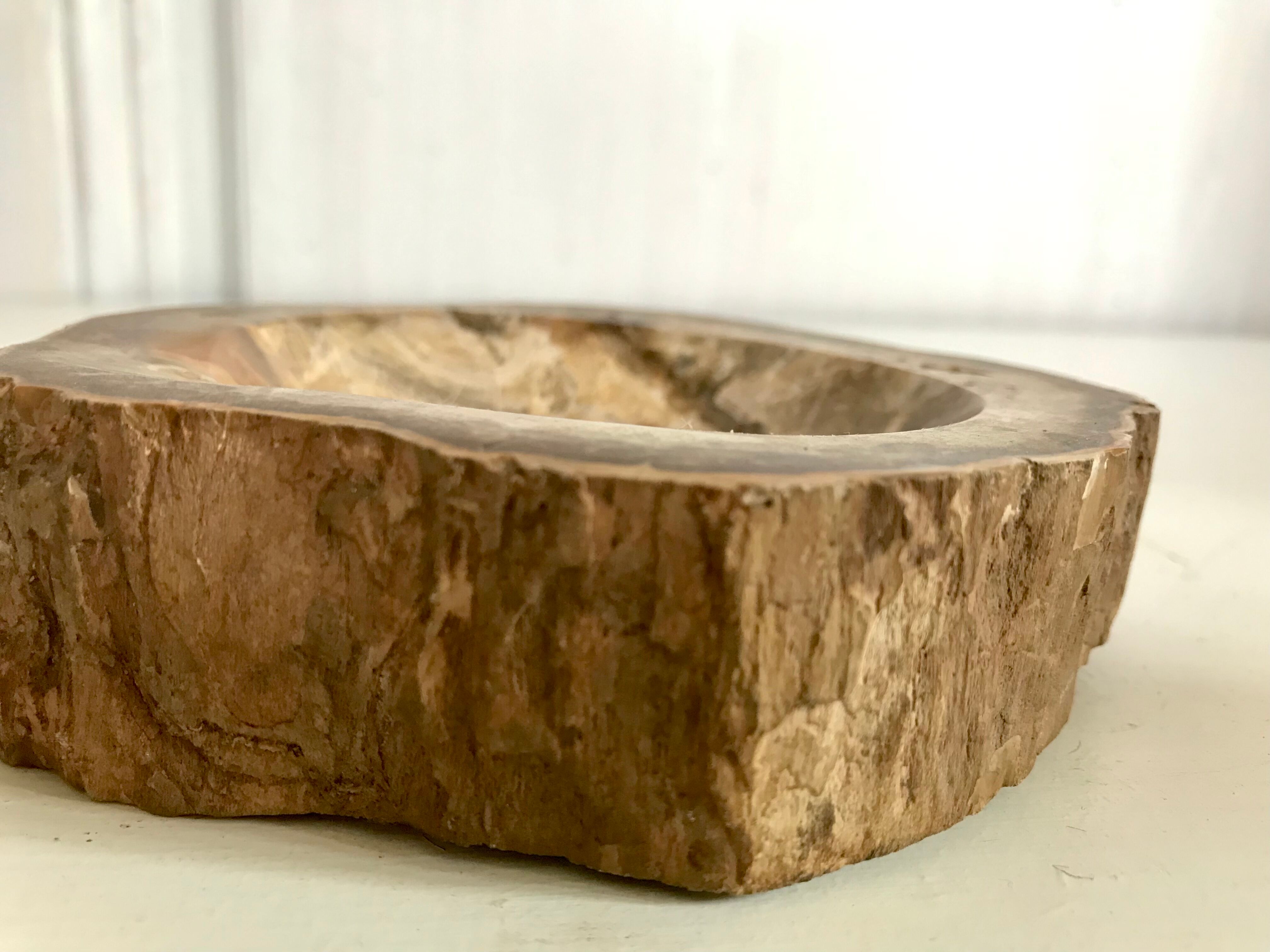 Petrified wooden ashtray
