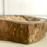 Petrified wooden ashtray