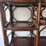 Rattan bookshelf