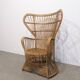 Fauteuil Peaock Rohé Noordwolde