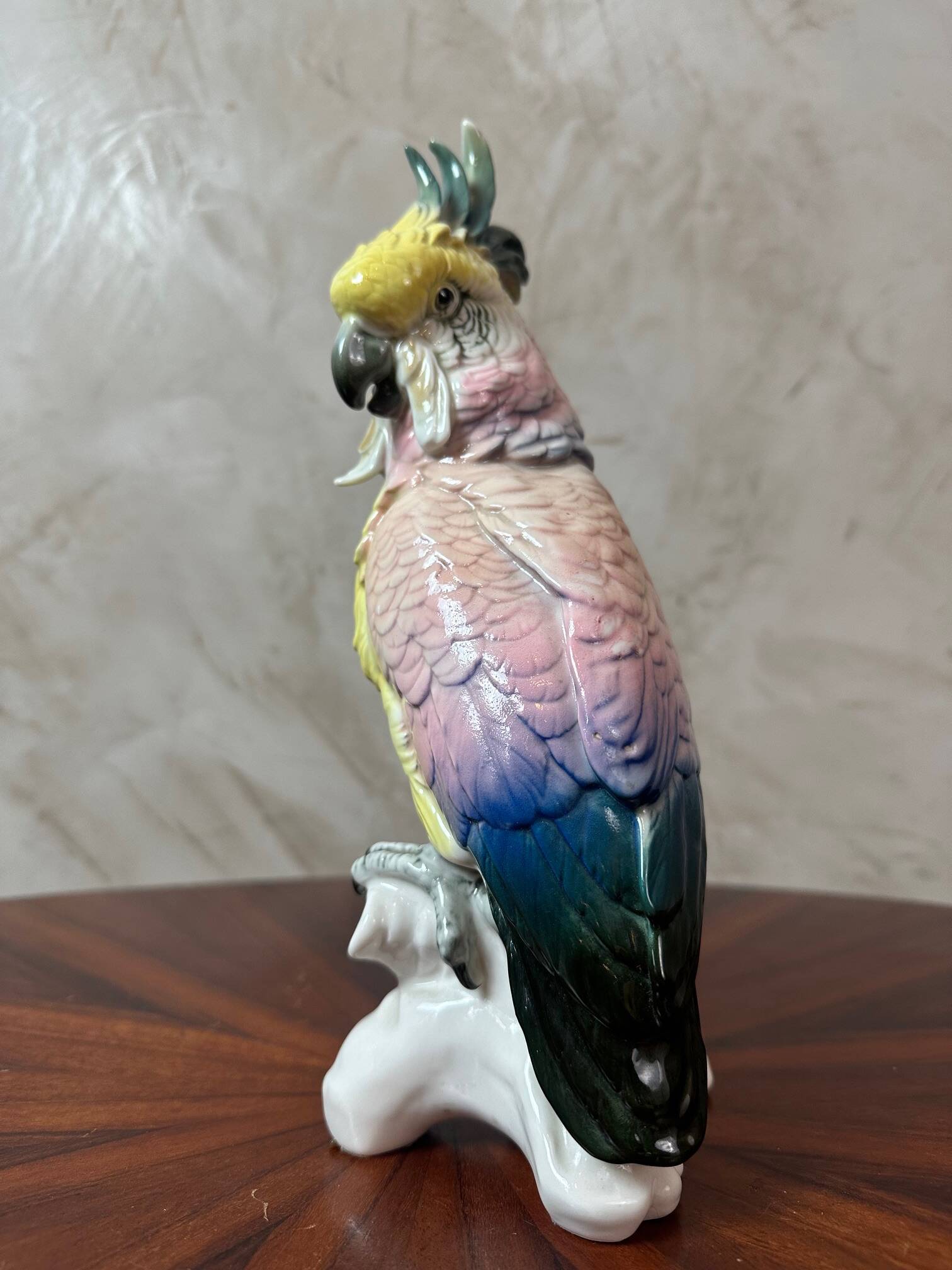 Saxony porcelain parrot