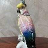 Saxony porcelain parrot