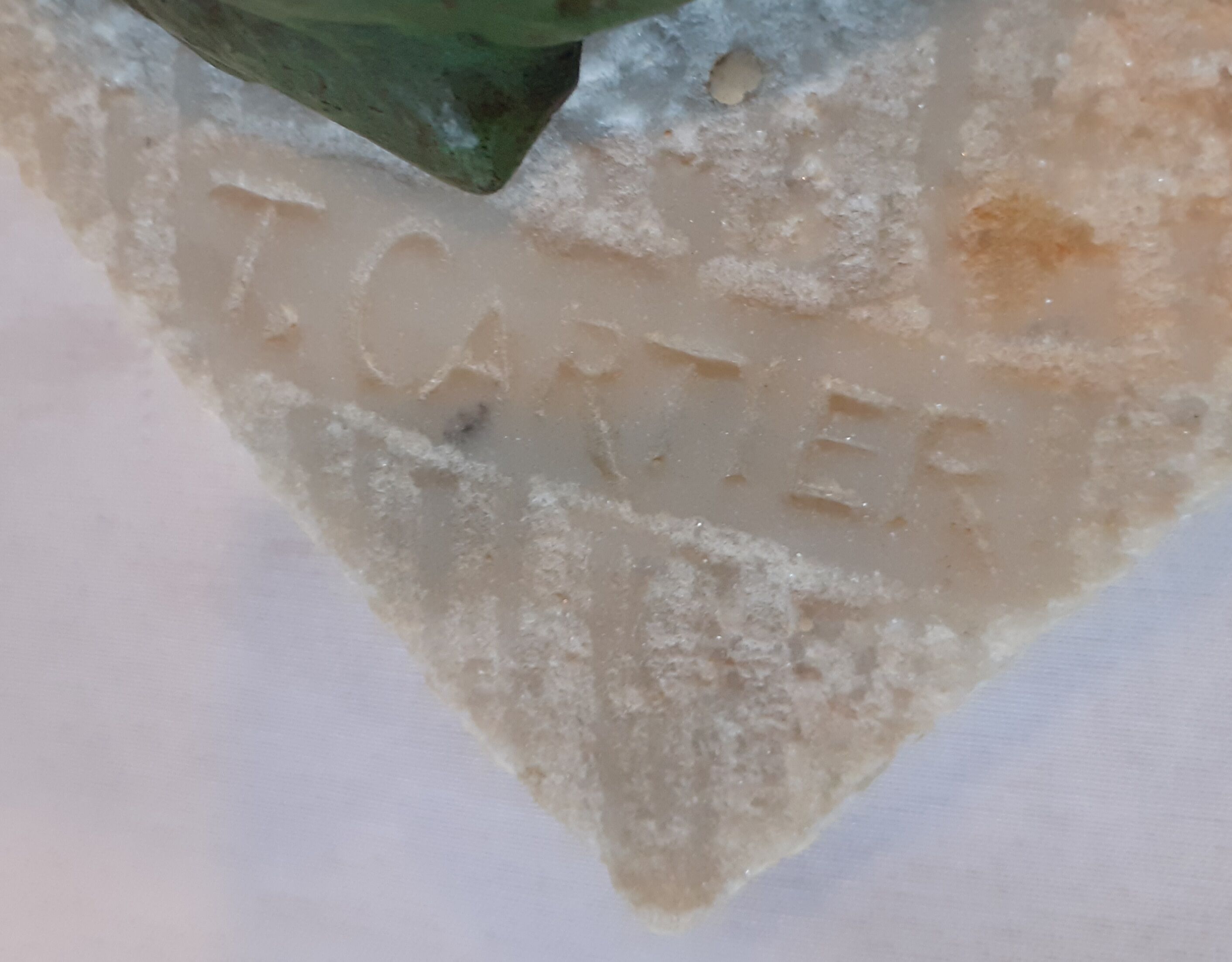 Greenhouse books bear signed