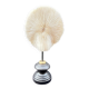 Antique natural white coral on a blackened wooden base, notebooks of curiosities