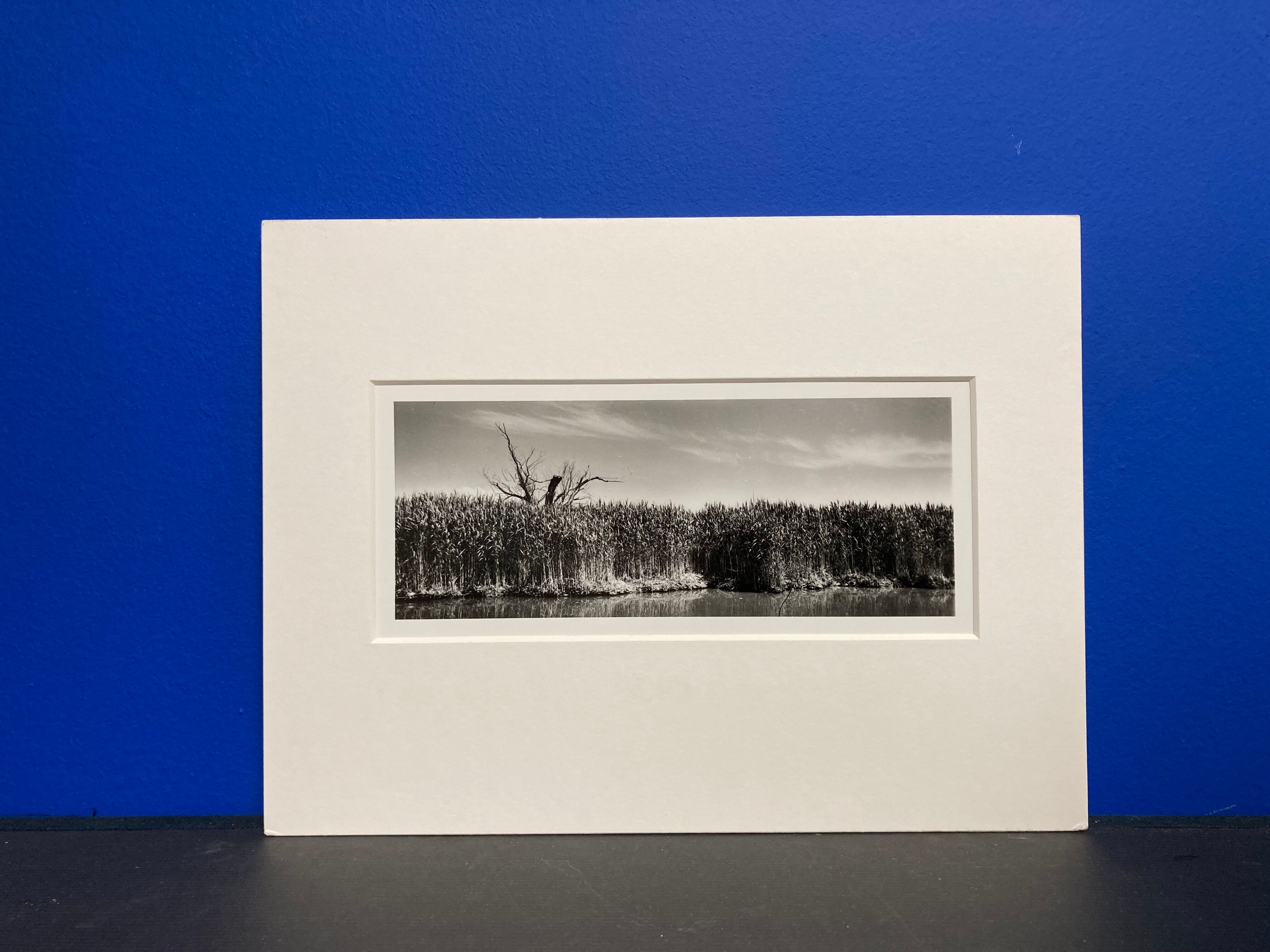 Film landscape photography