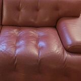 Roche Bobois leather sofa Blogger model
