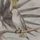 Lithography engraving vintage exotic birds