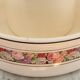 Ditmar-Urbach Olymp toilet service jug & basin 1940s/50s Czech