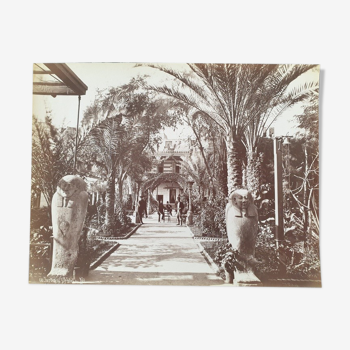Pascal Sébah (1823-1886) - Photographie, tirage albuminé - Jardin de l'hôtel du Nil, Egypte