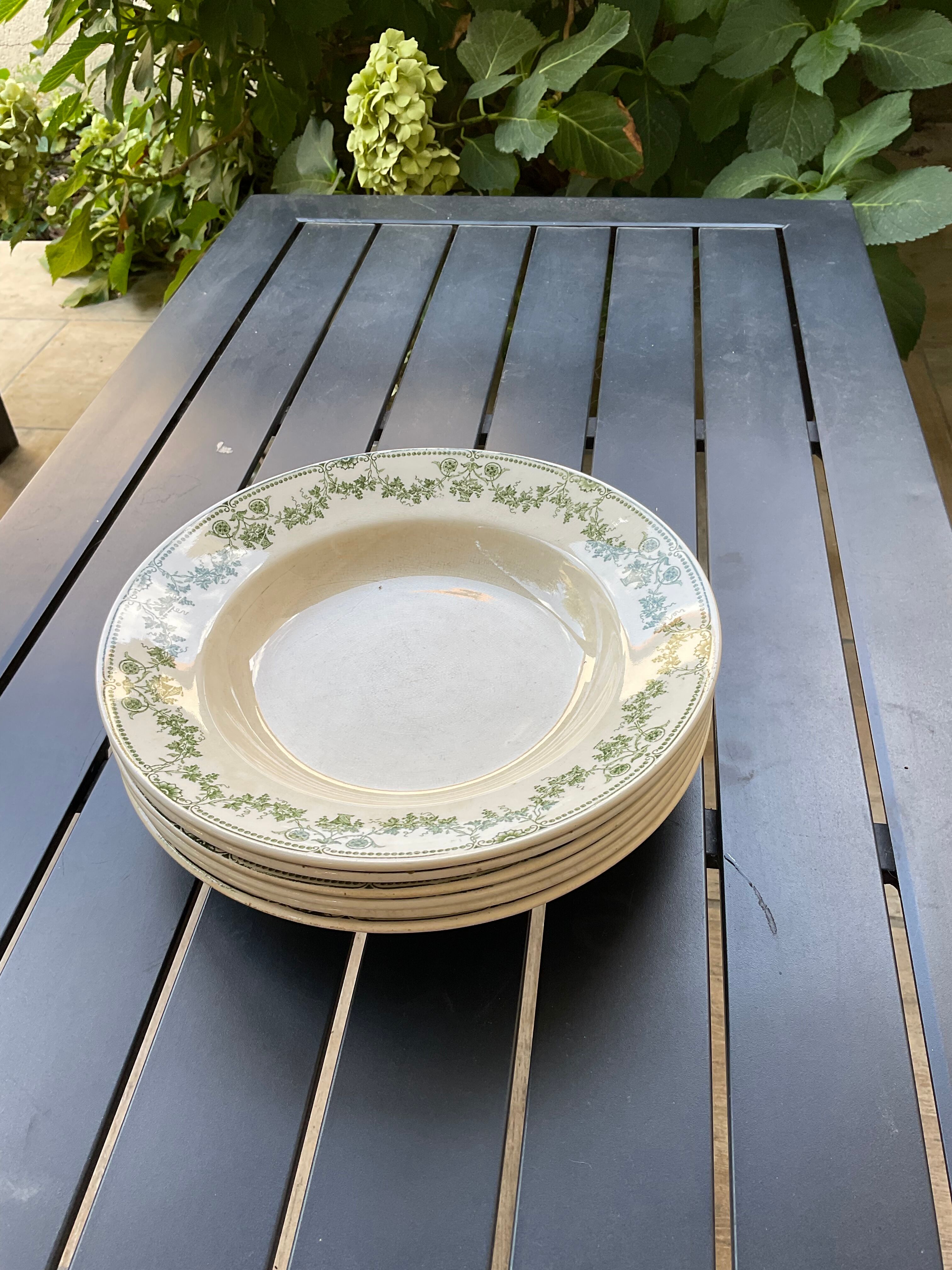 6 hollow plates badonvillers model champagne