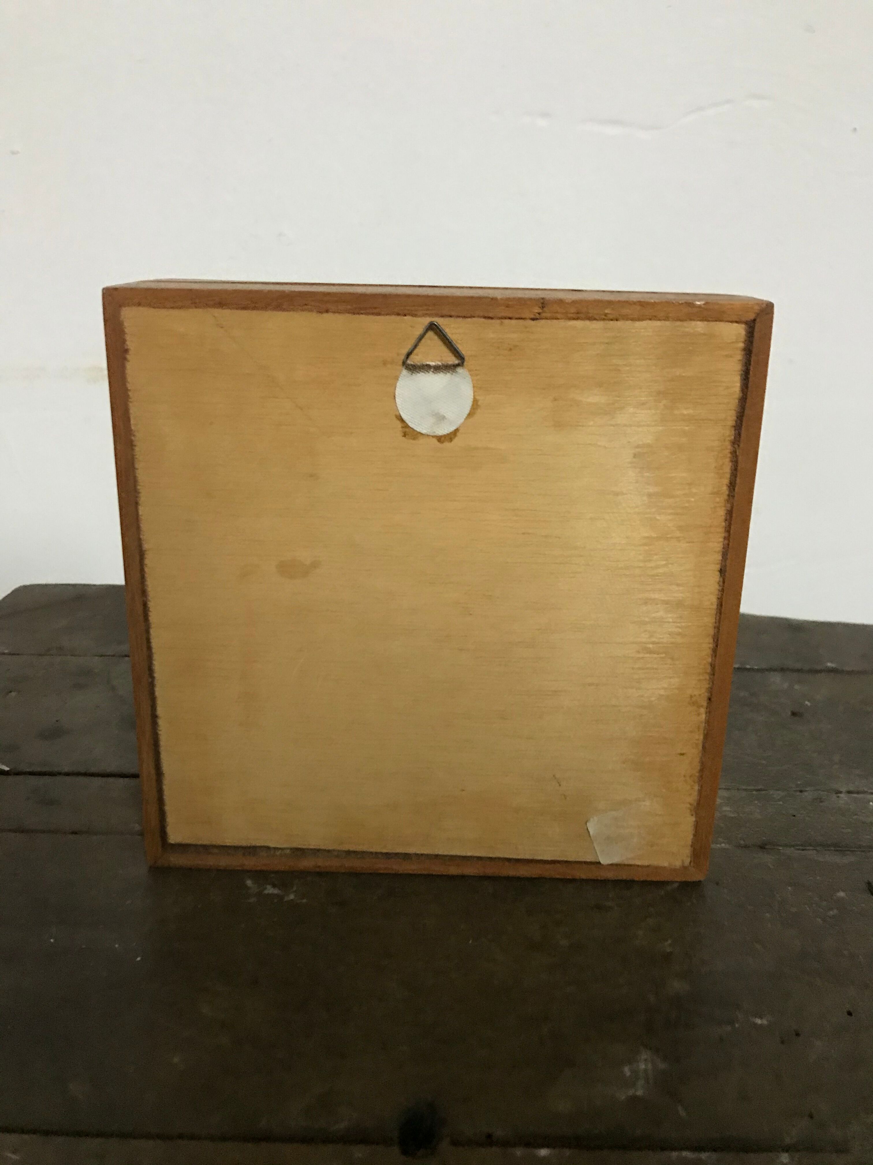 Naturalized butterfly