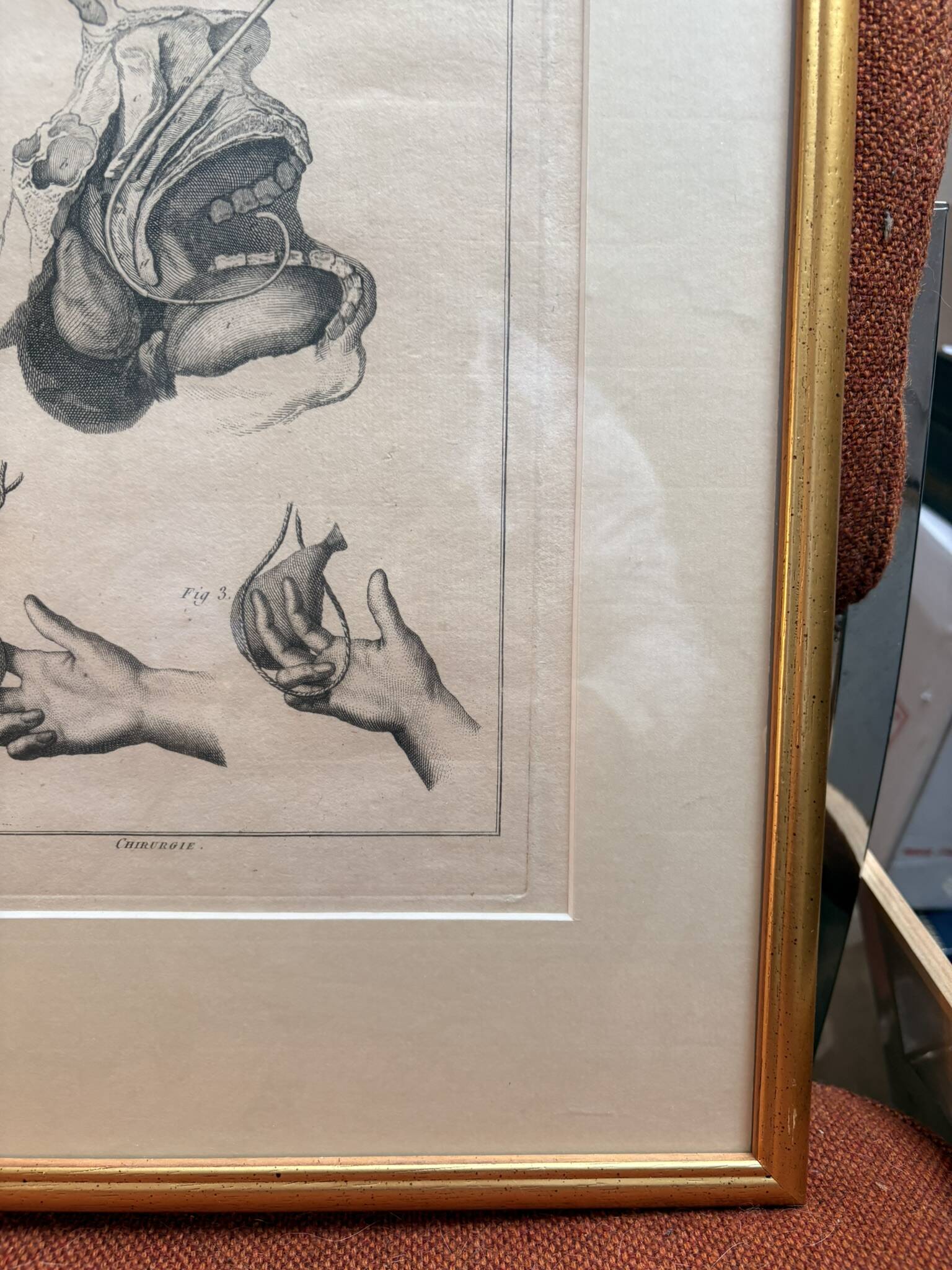 Framed Print Engraving Aphorisms Surgery Anatomy Herman Boerhaave