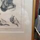 Framed Print Engraving Aphorisms Surgery Anatomy Herman Boerhaave