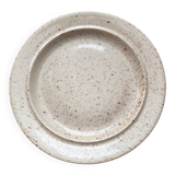 Speckled stoneware plate