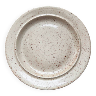 Speckled stoneware plate