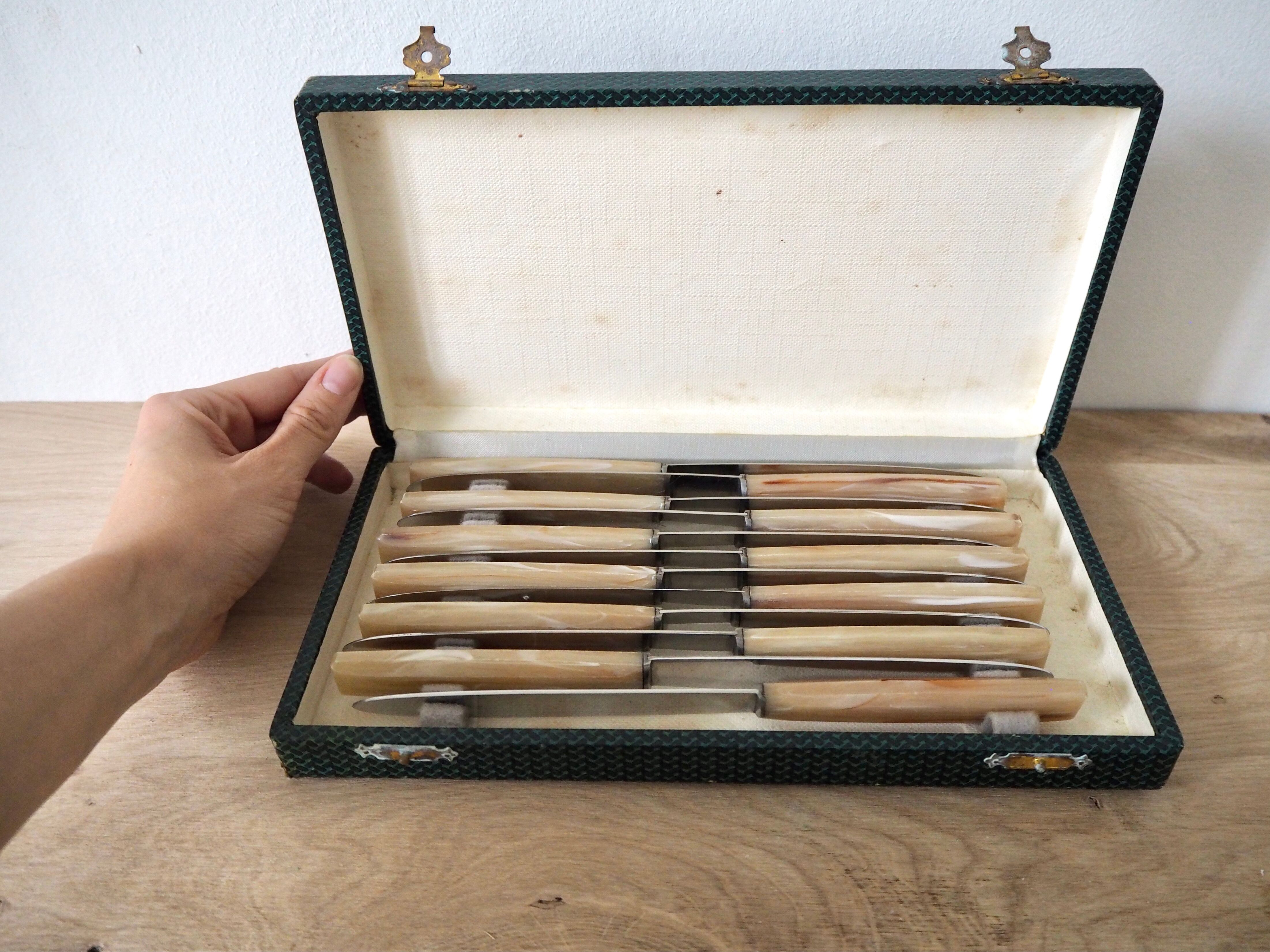 Set de 12 couteaux avec manches effet corne dans leur coffret