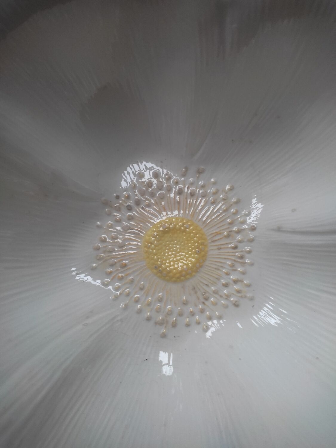 Saladier fleur d'églantine