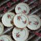 10 assiettes plates anciennes Longchamp 