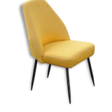 Chair Carlo PAGANI