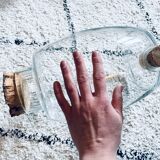 Terrarium verre