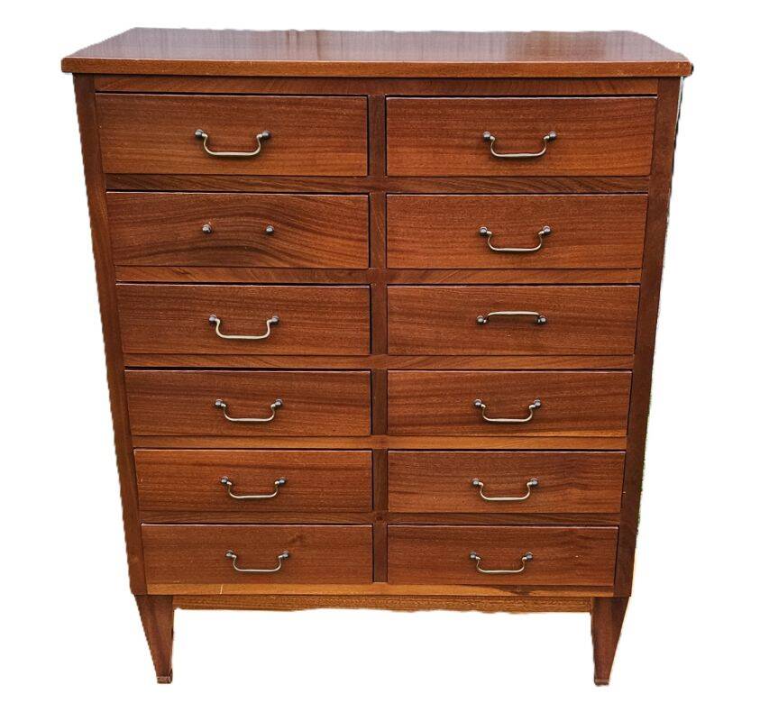 English Mahogany Archive Furniture with 12 Drawers