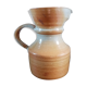 Pitcher in Montgolfier Sandstone
