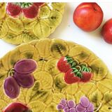 Duo flat plate Slurry pattern fruits
