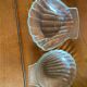 Pyrex scallop shell set
