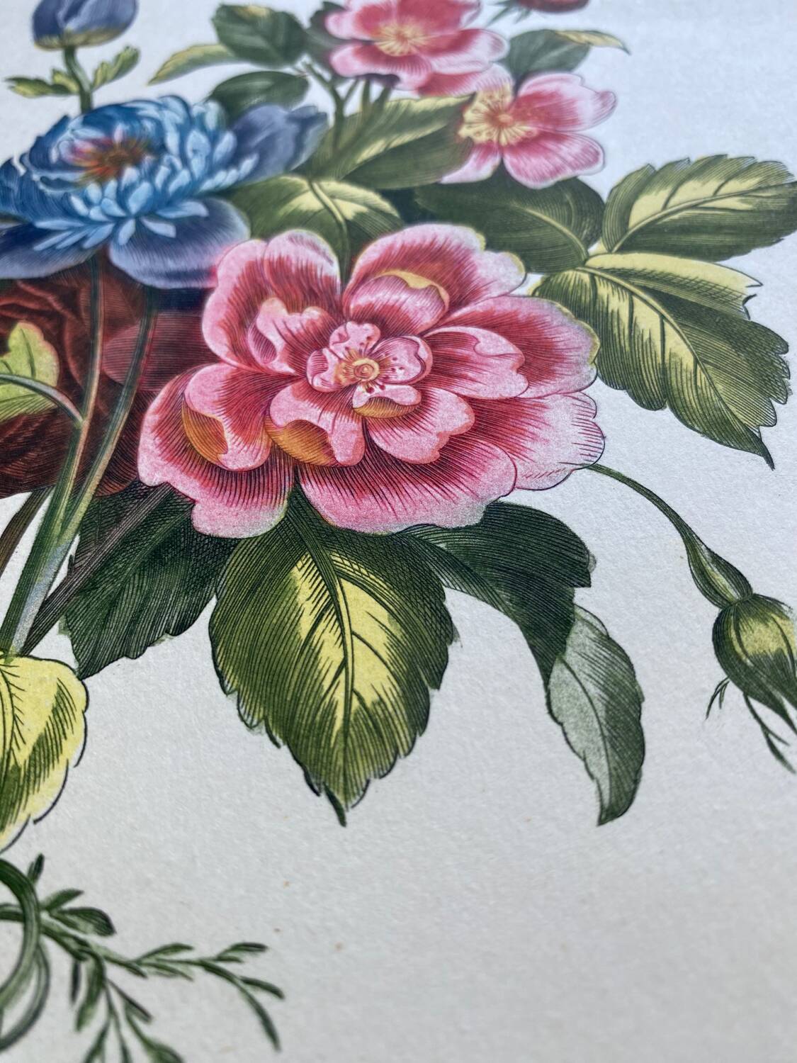 Two floral lithographs 224