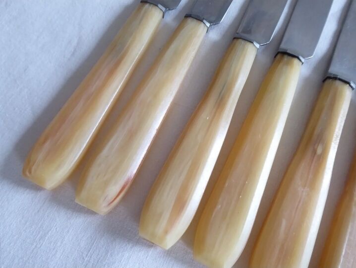 12 fruit knives, dessert. horn handle. length 19 cm
