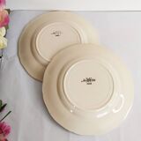 Plates in Terre de Fer earthenware from Sarreguemines