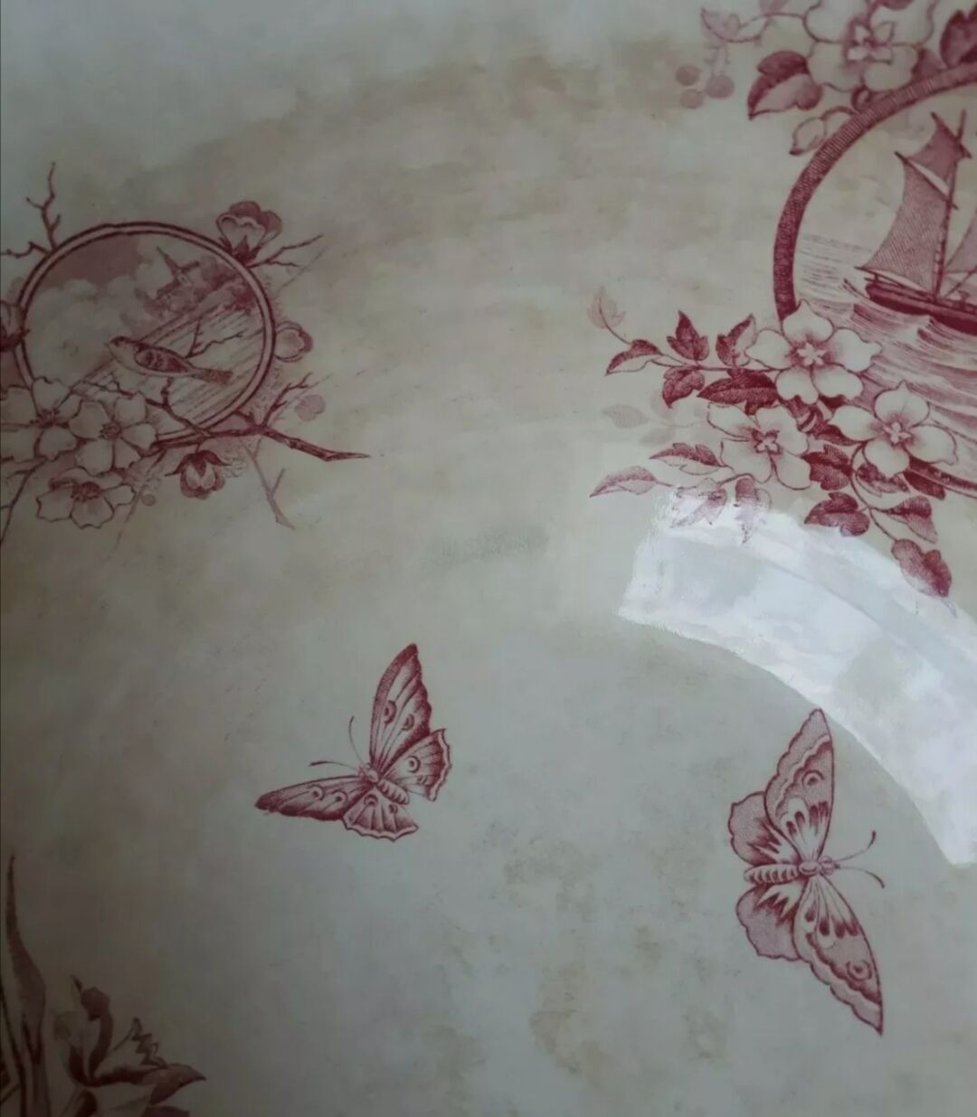 Saladier former earthenware butterflies Badonvilliers