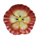 Decorative plate in earthenware dabbling: Orange thought with a yellow heart