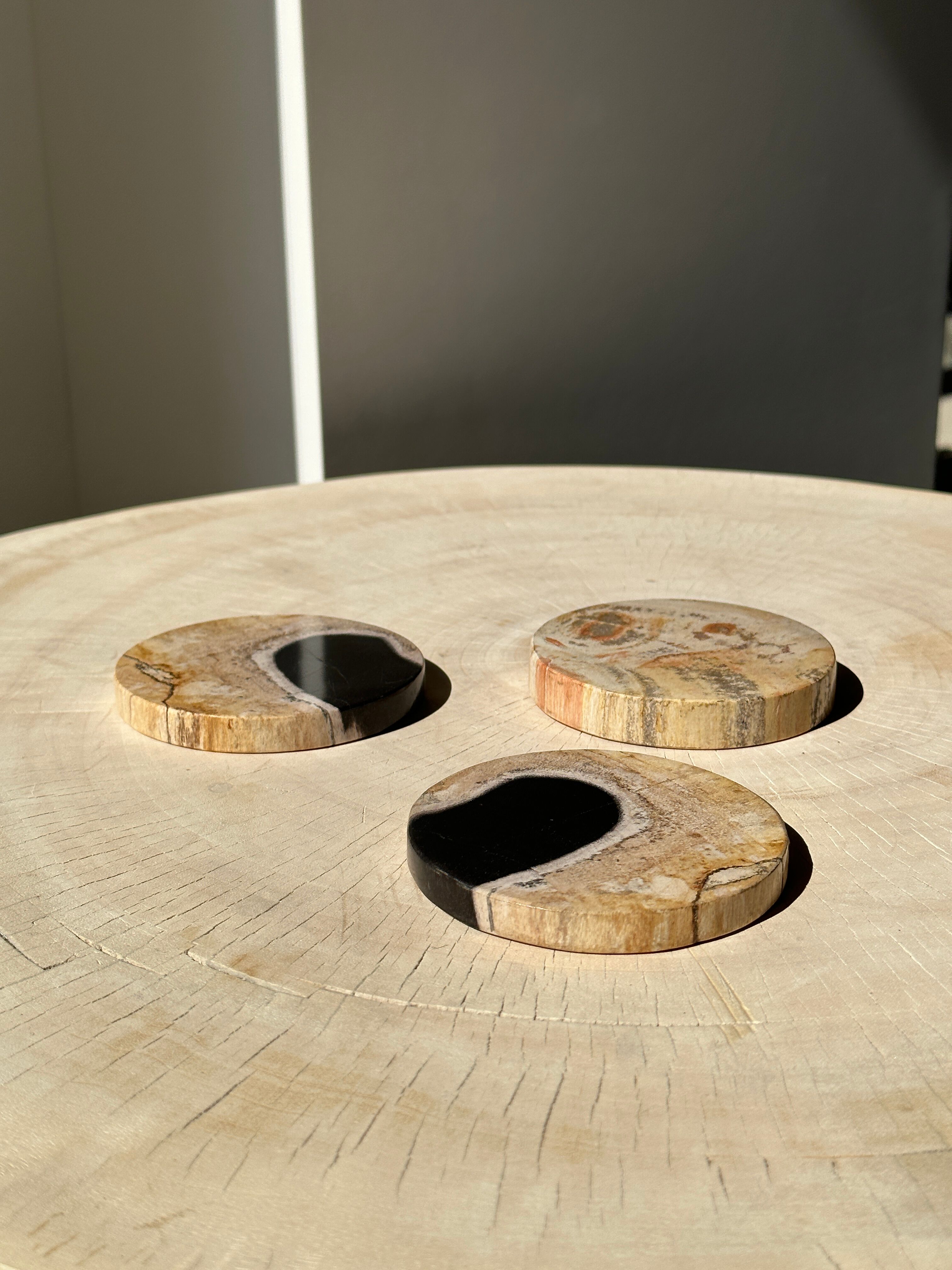 Set of 3 fossilized wooden coasters (clear)